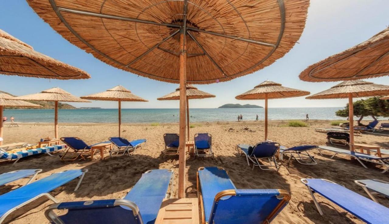 Tortuga Dafni Bay Diver's Paradise By 