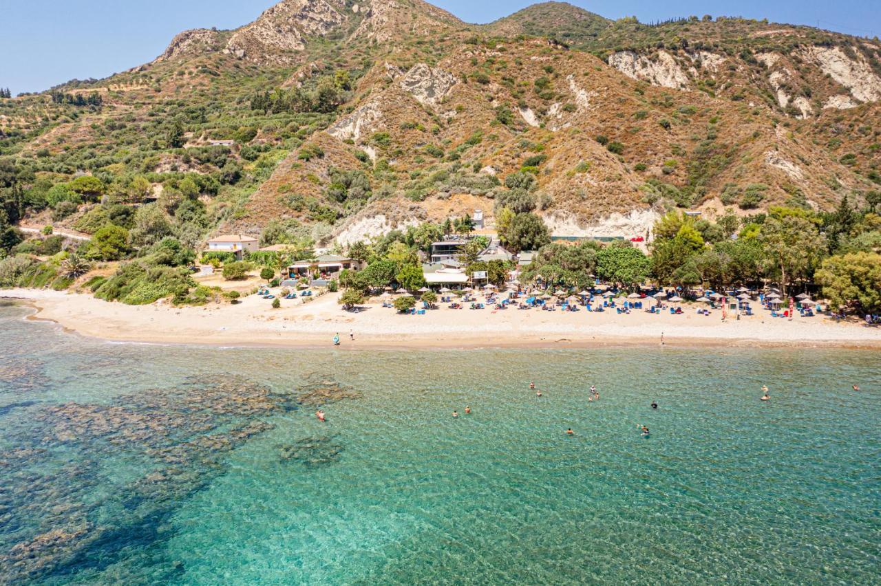 Tortuga Dafni Bay Diver's Paradise By 