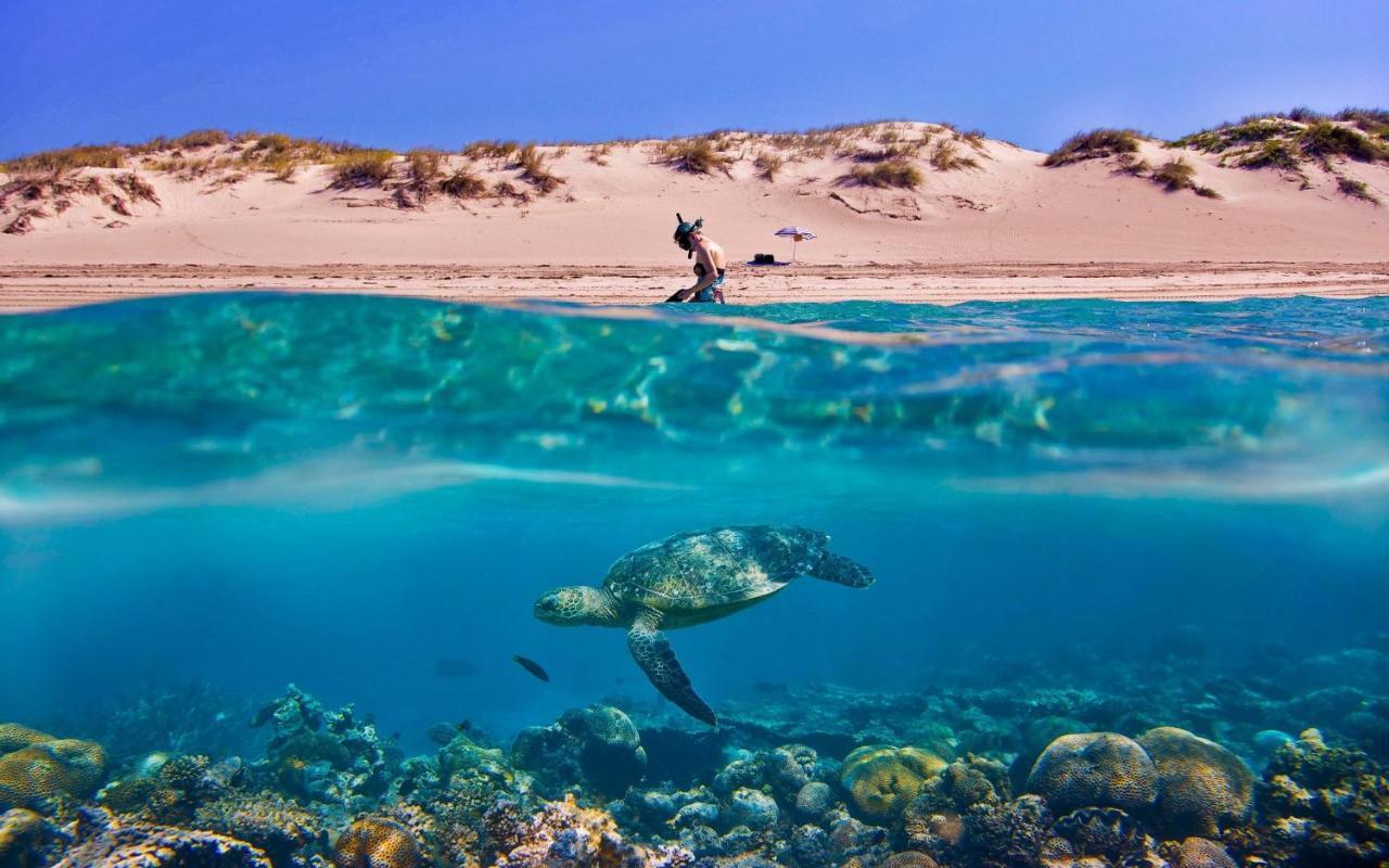 Dovolenkový dom Tortuga Dafni Bay Diver's Paradise By 